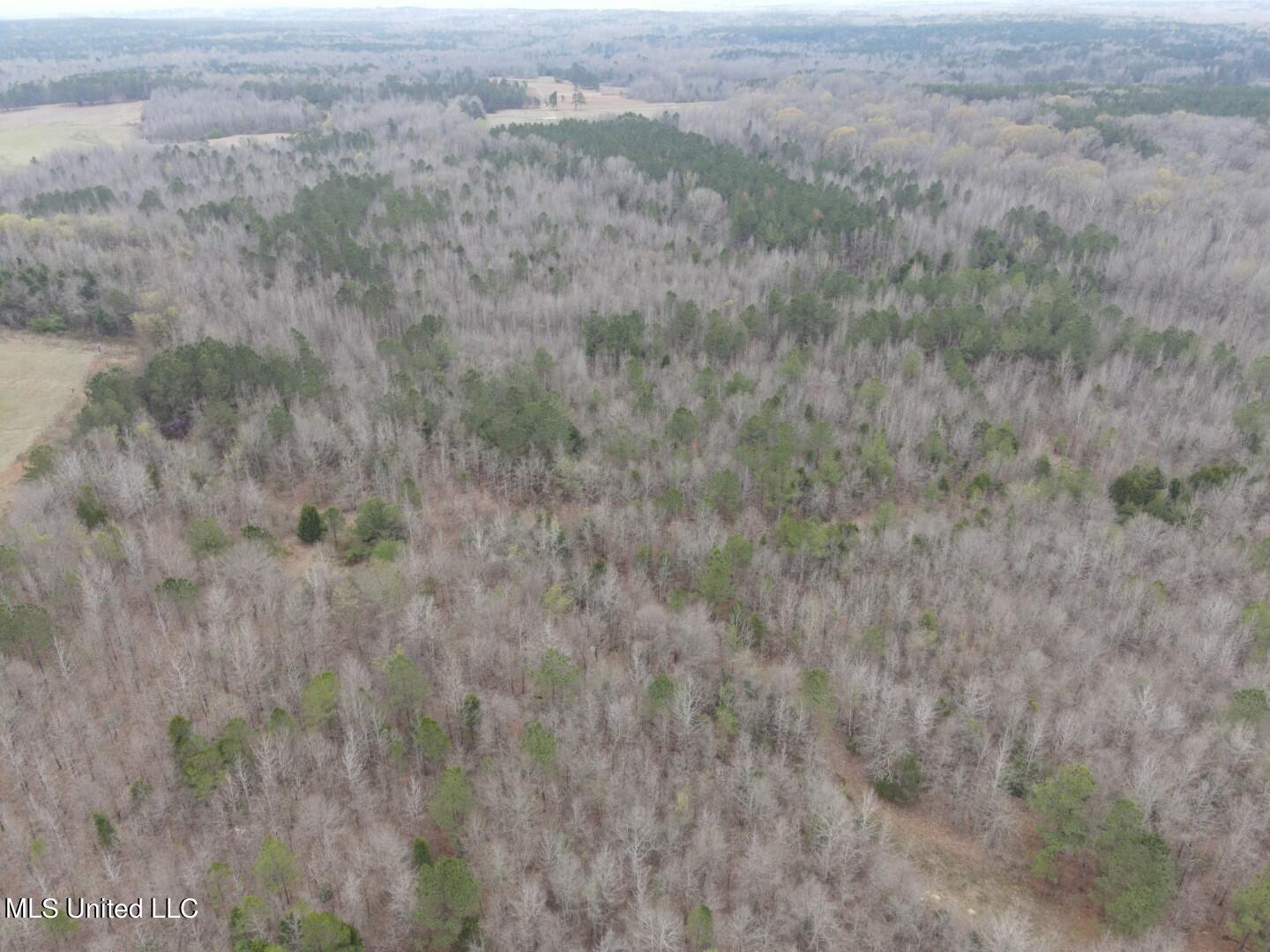 4627 Race Track Road West, MS 39192 - Photo 59 of 73 Photo Mar 14 2024, 11 04 54 AM (Large)
