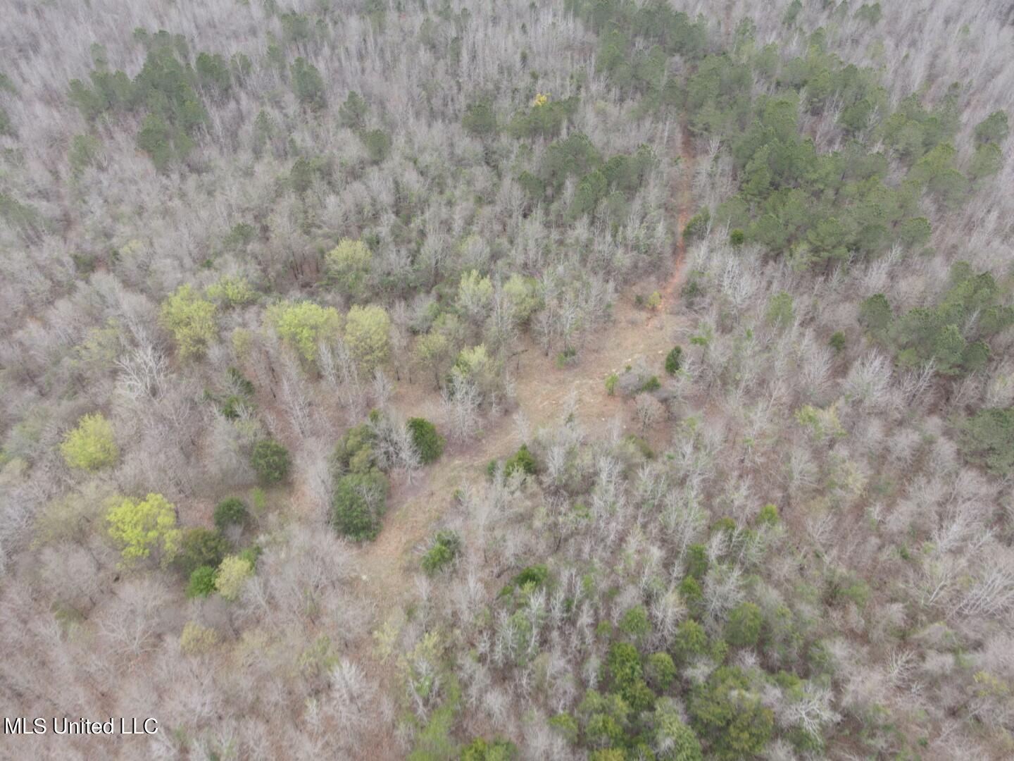 4627 Race Track Road West, MS 39192 - Photo 60 of 73 Photo Mar 14 2024, 11 05 40 AM (Large)