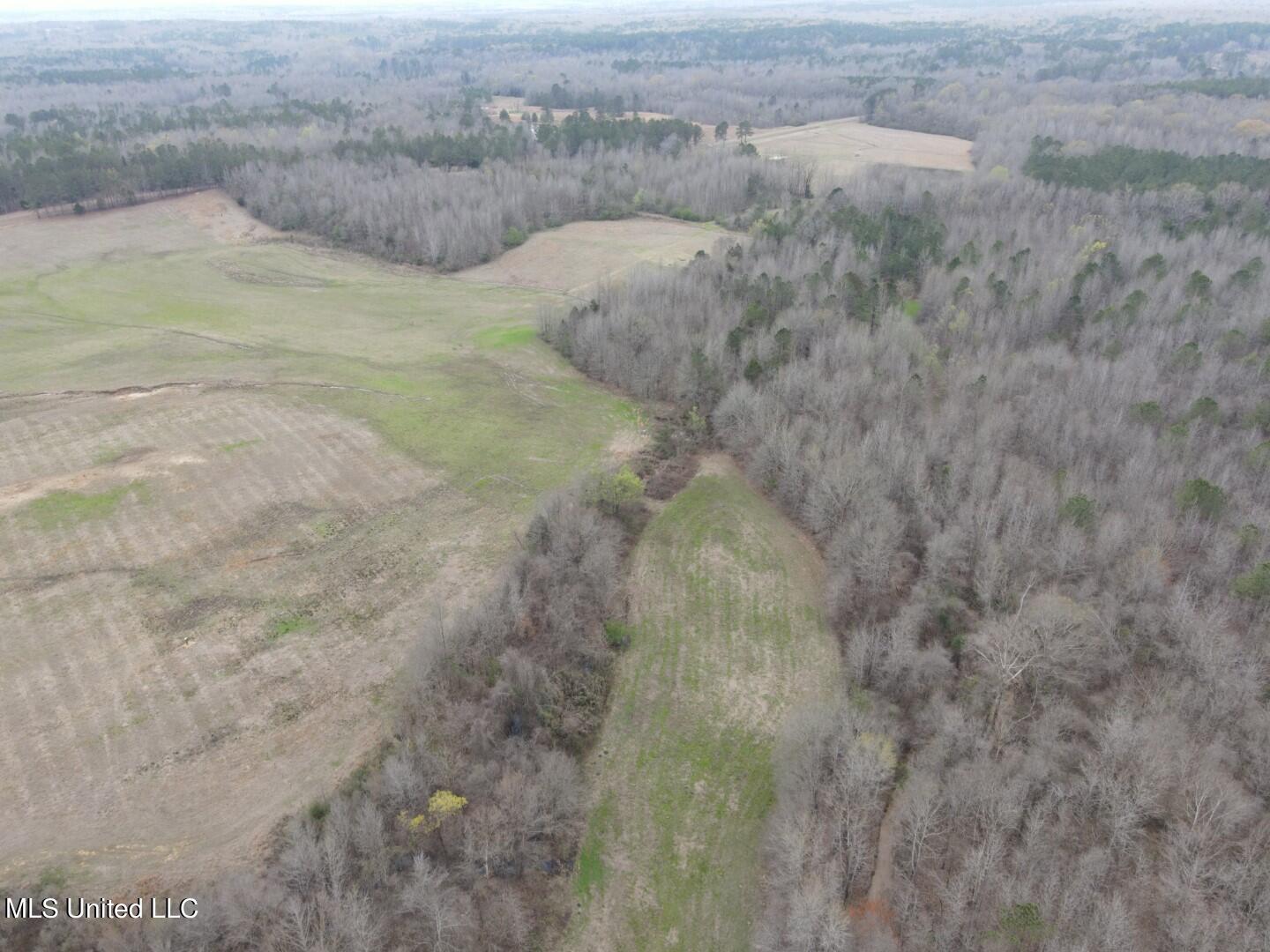 4627 Race Track Road West, MS 39192 - Photo 61 of 73 Photo Mar 14 2024, 11 06 43 AM (Large)