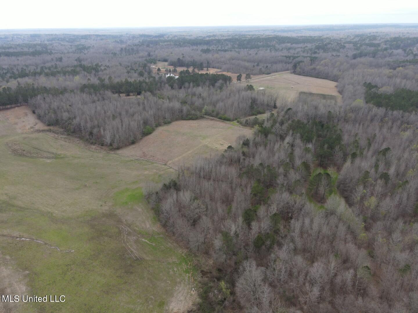 4627 Race Track Road West, MS 39192 - Photo 62 of 73 Photo Mar 14 2024, 11 06 56 AM (Large)
