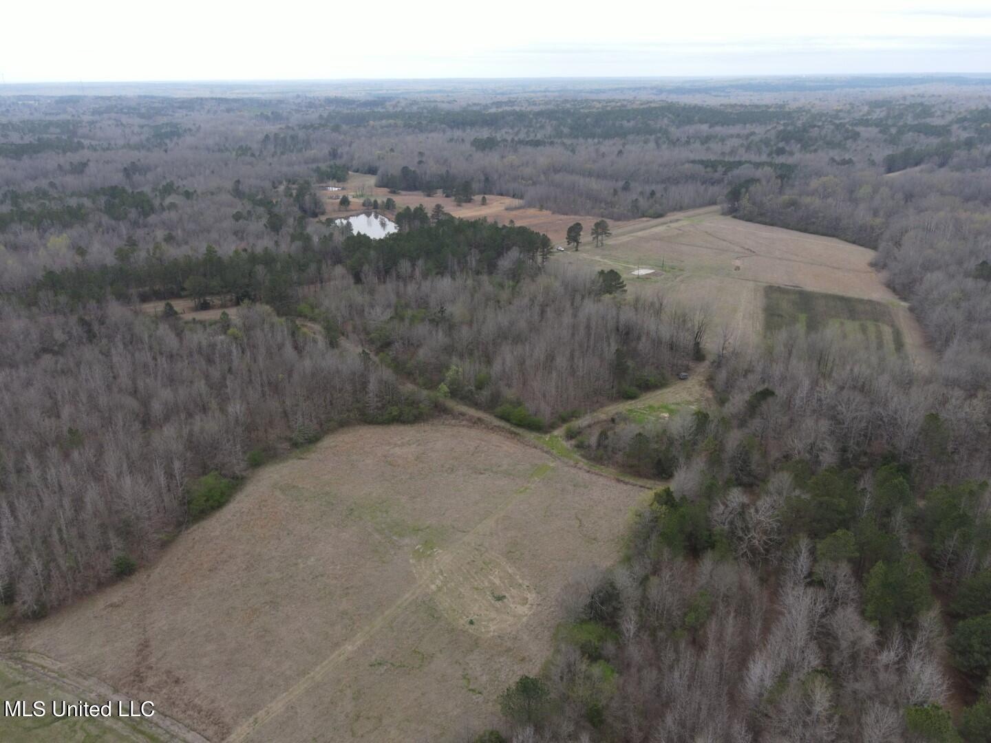 4627 Race Track Road West, MS 39192 - Photo 63 of 73 Photo Mar 14 2024, 11 07 10 AM (Large)