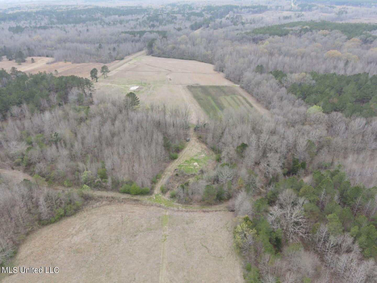 4627 Race Track Road West, MS 39192 - Photo 64 of 73 Photo Mar 14 2024, 11 07 40 AM (Large)
