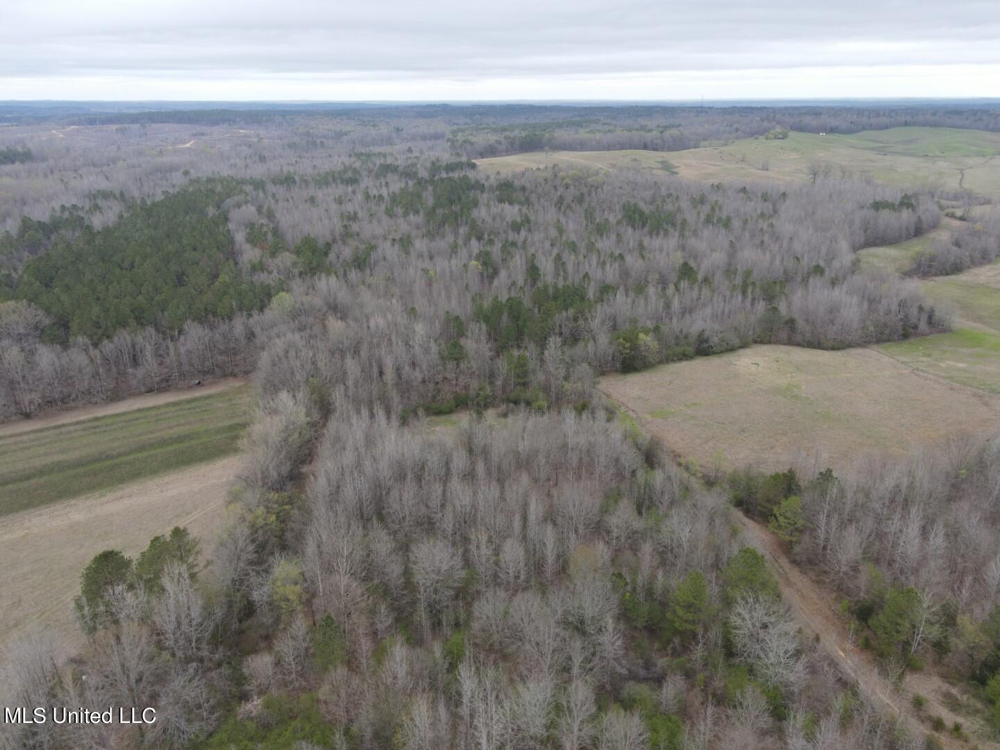 4627 Race Track Road West, MS 39192 - Photo 66 of 73 Photo Mar 14 2024, 11 08 49 AM (Large)