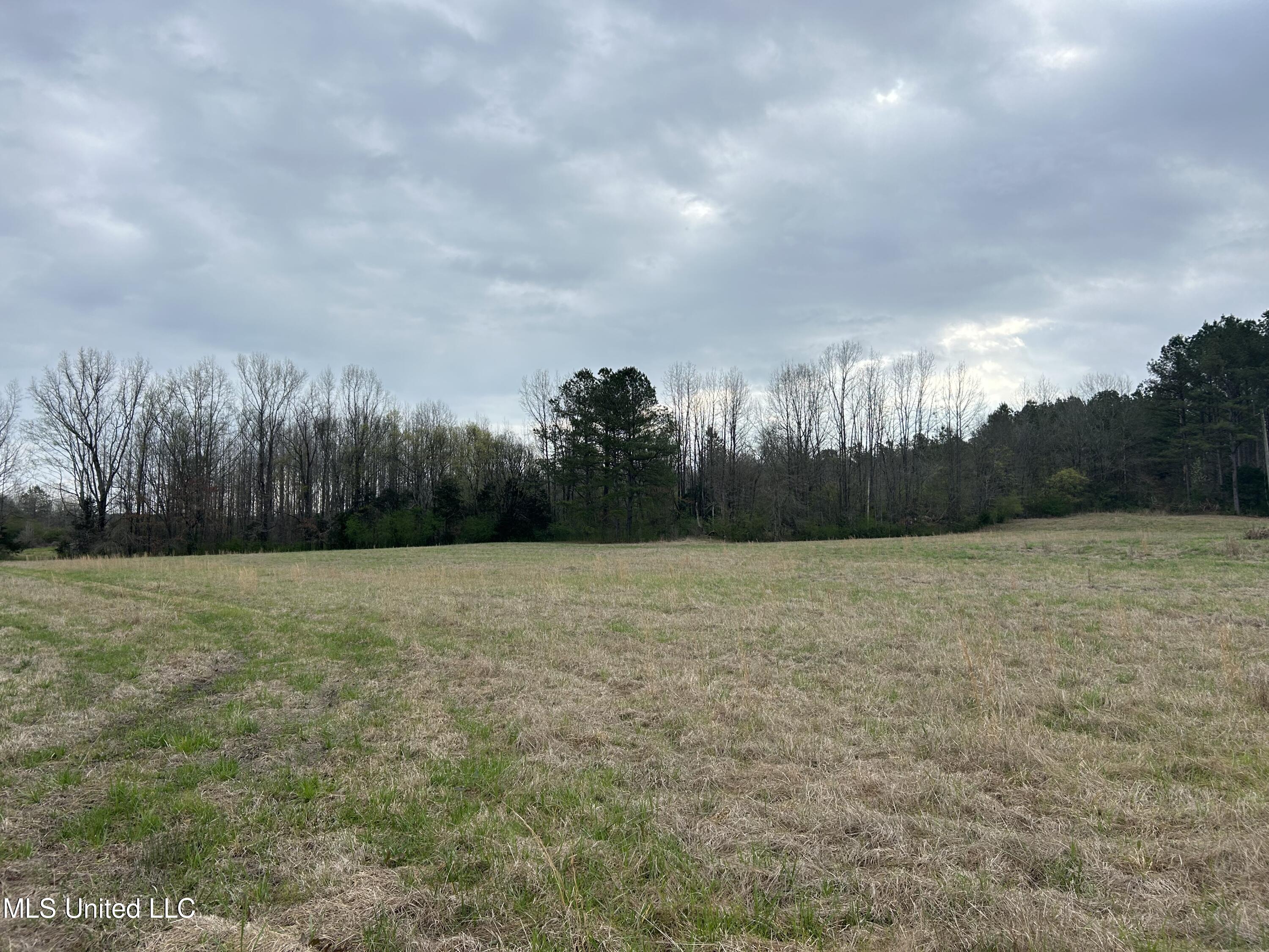4627 Race Track Road West, MS 39192 - Photo 7 of 73 Photo Mar 14 2024, 9 30 12 AM