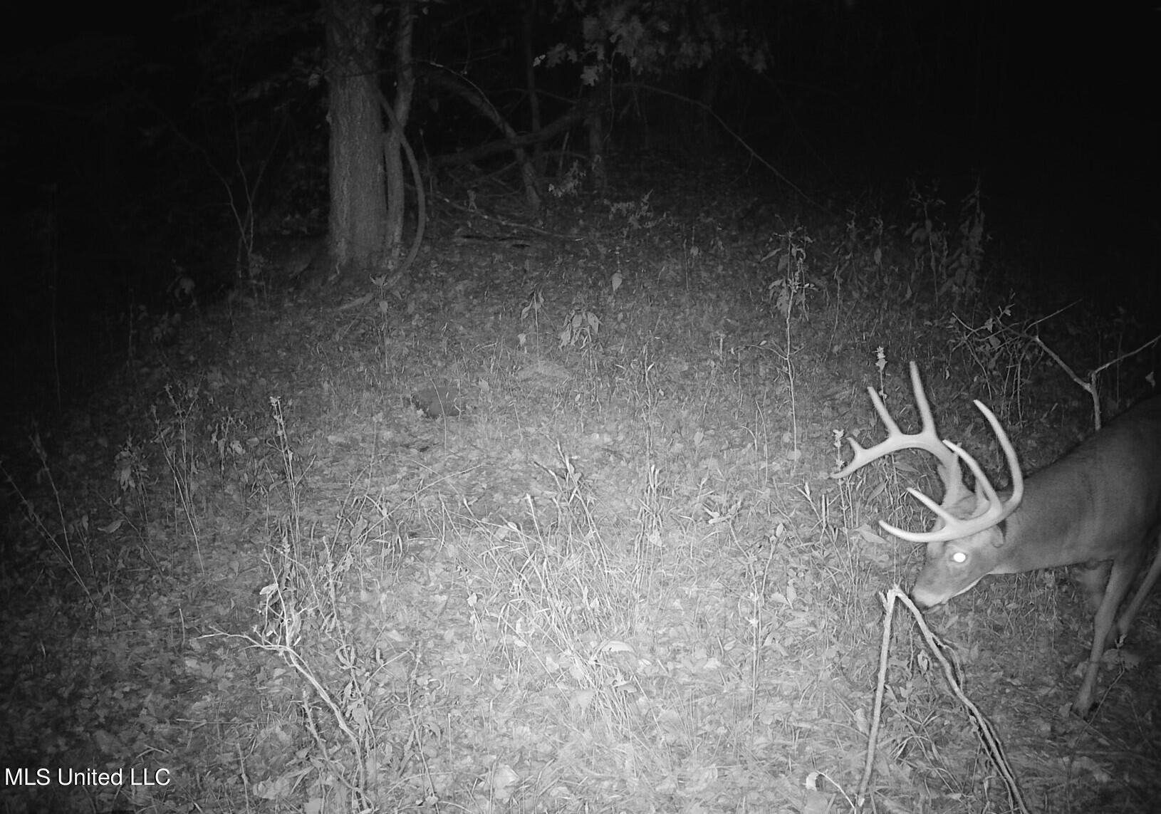 4627 Race Track Road West, MS 39192 - Photo 71 of 73 SYFW2098 a