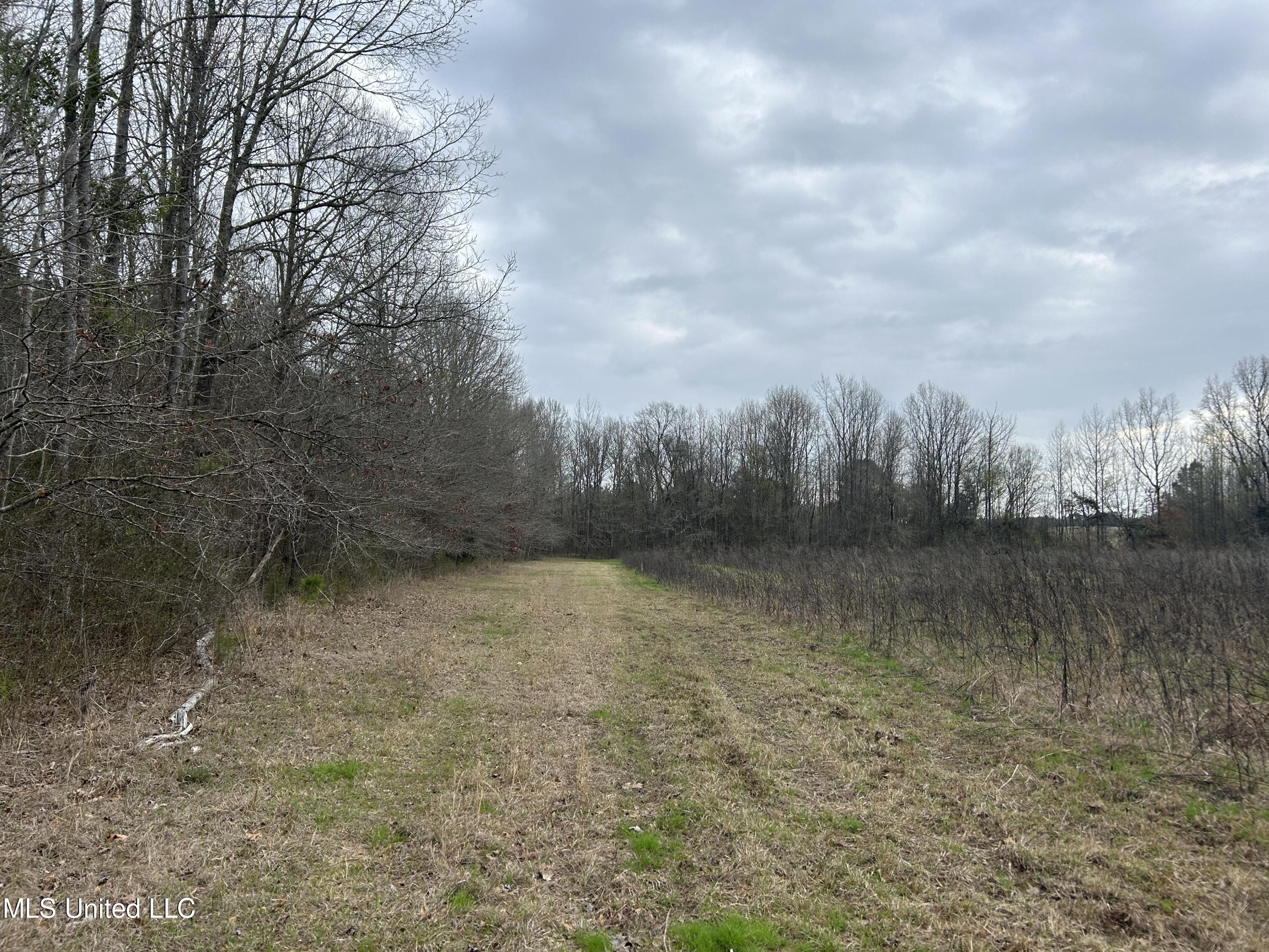 4627 Race Track Road West, MS 39192 - Photo 9 of 73 Photo Mar 14 2024, 9 31 42 AM - Copy
