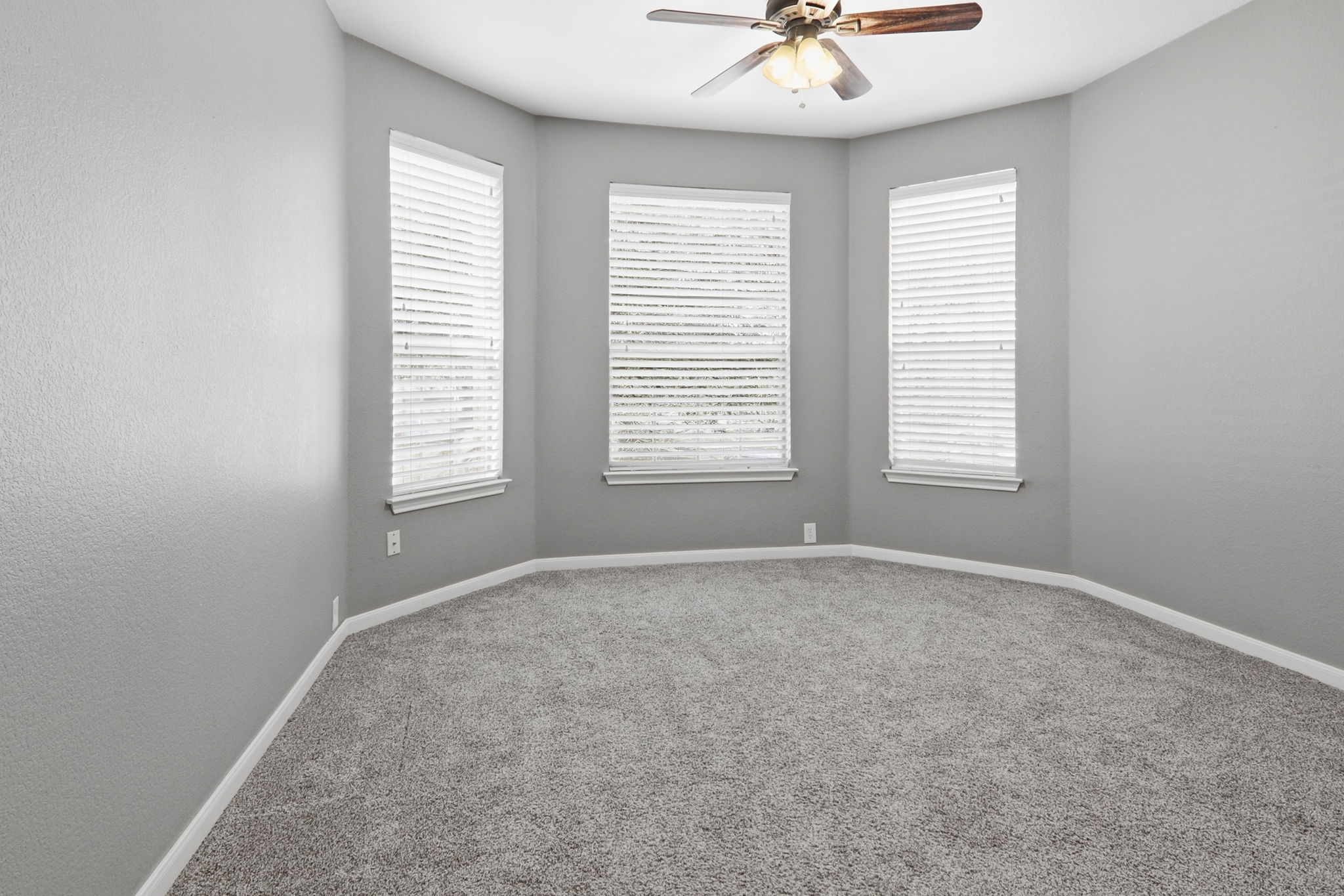 2157 Paradise Ridge Drive Round Rock, TX 78665 - Photo 14 of 34 an empty room with windows and chandelier fan