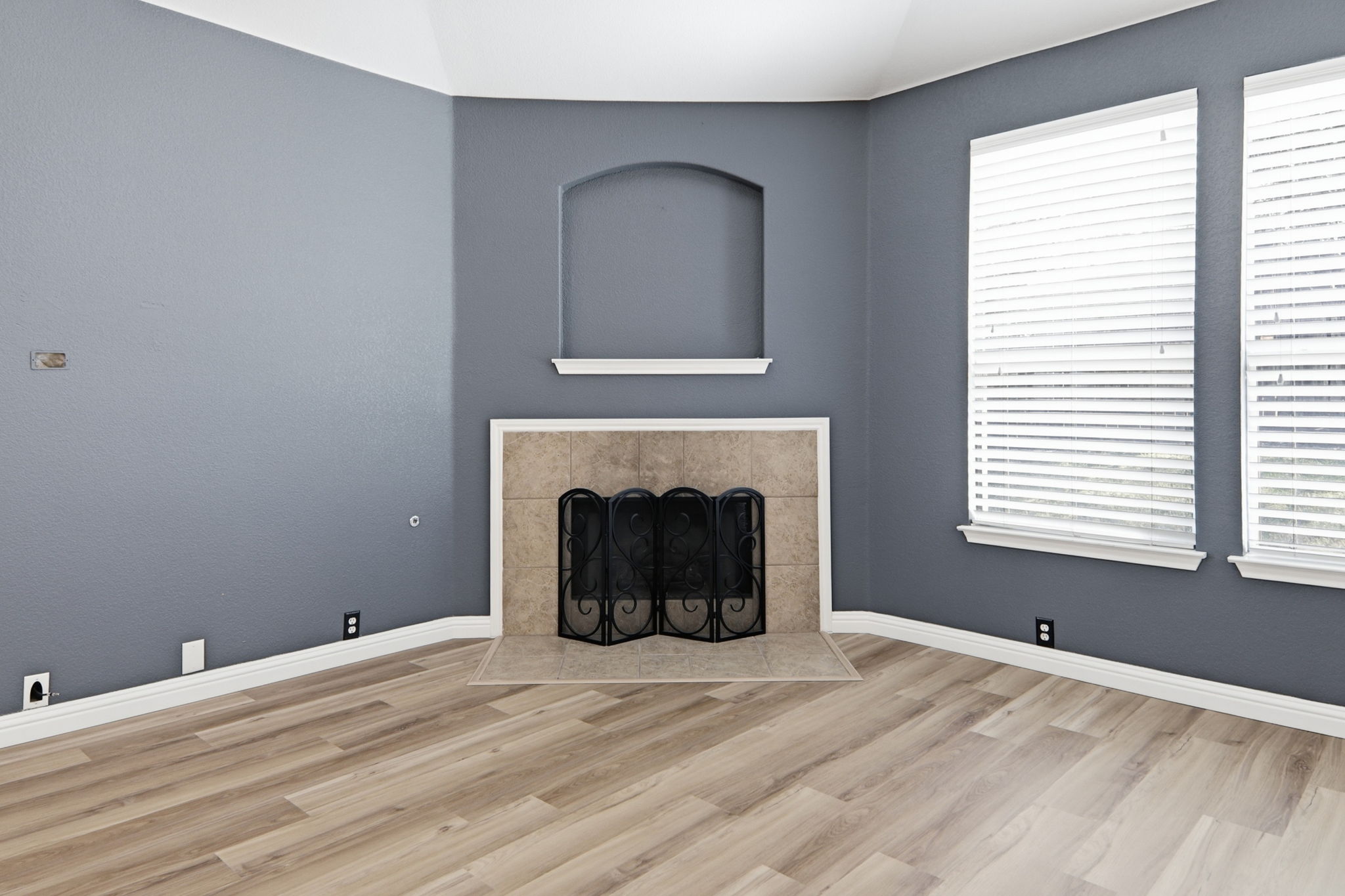 2157 Paradise Ridge Drive Round Rock, TX 78665 - Photo 5 of 34 a view of a livingroom with a fireplace