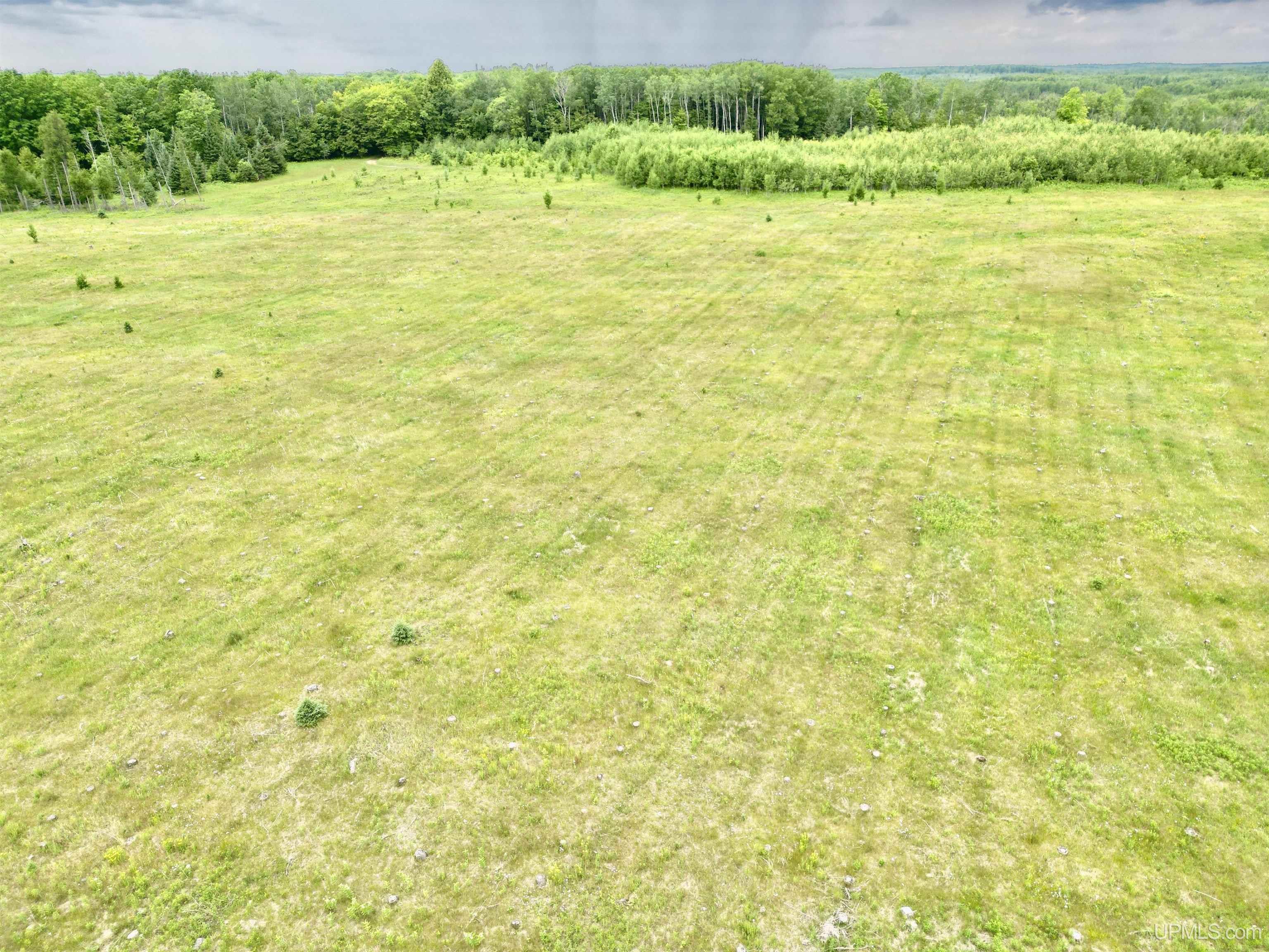 Tbd Tbd Truax Lane Road, Unit 1 Cornell, MI 49818 - Photo 10 of 13