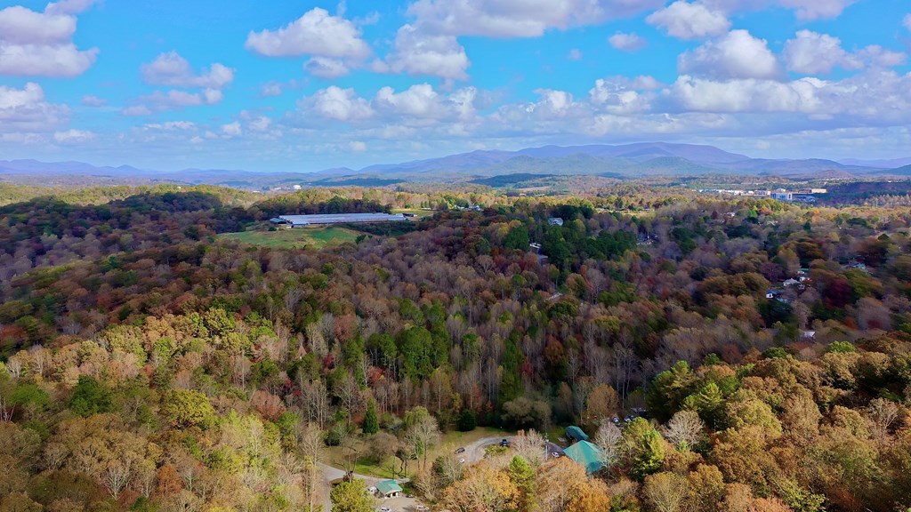 291 Creekside Trail Ellijay, GA 30540 - Photo 11 of 12