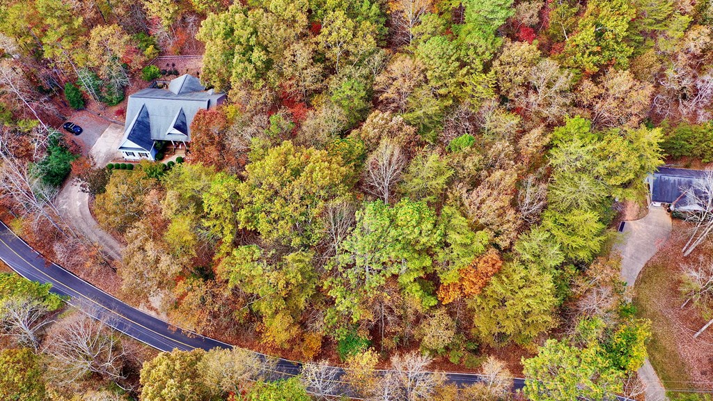 291 Creekside Trail Ellijay, GA 30540 - Photo 2 of 12