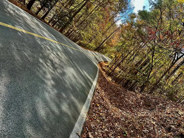 $9,949 | 291 Creekside Trail, Ellijay, GA 30540