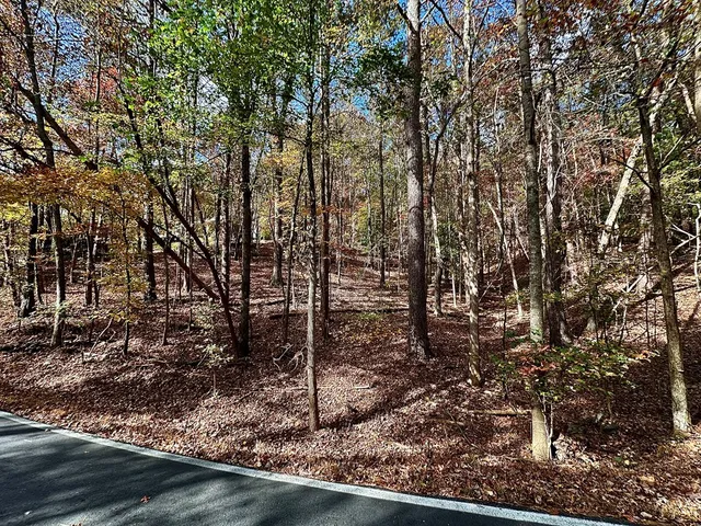 $9,949 | 291 Creekside Trail, Ellijay, GA 30540