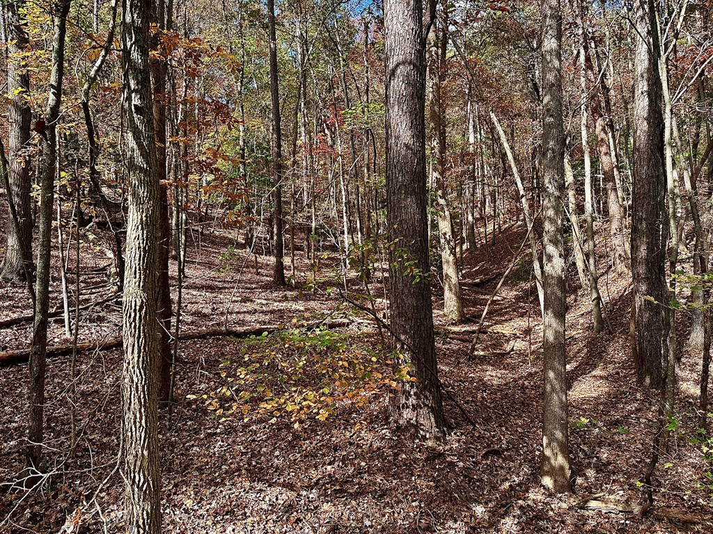 291 Creekside Trail Ellijay, GA 30540 - Photo 6 of 12