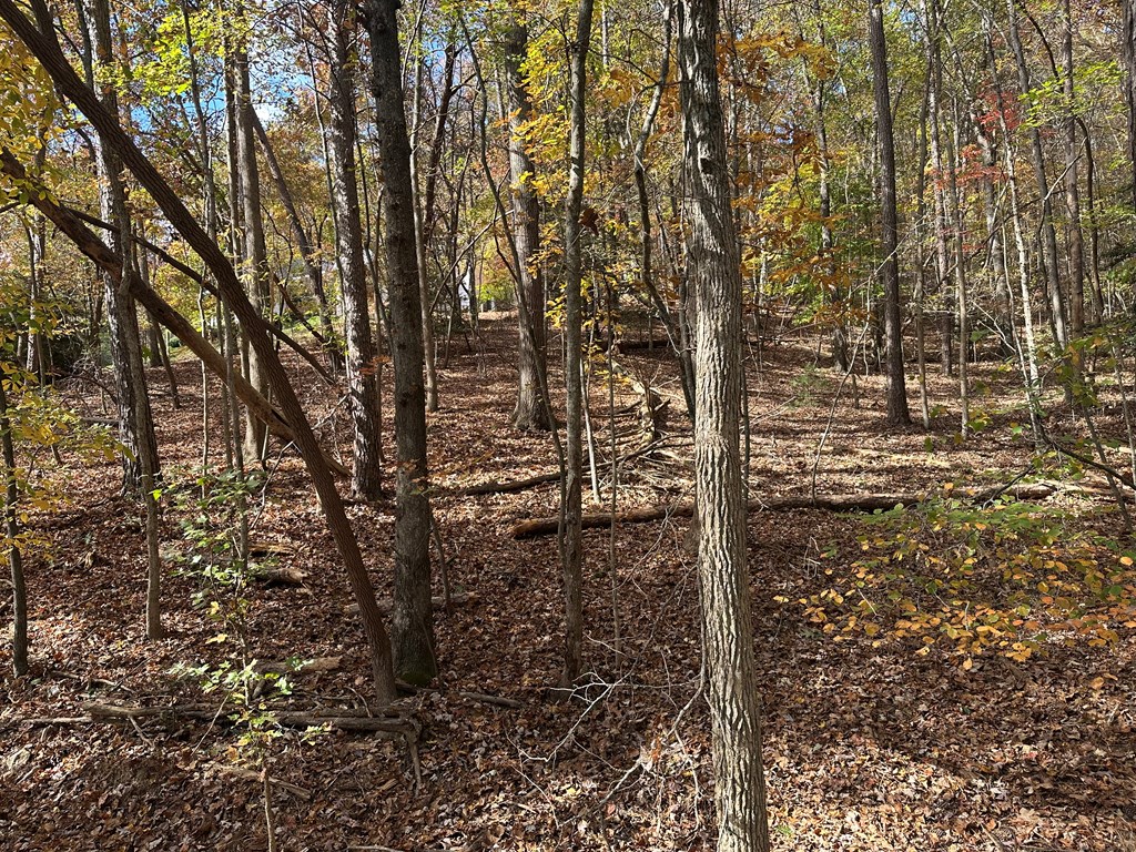 291 Creekside Trail Ellijay, GA 30540 - Photo 7 of 12