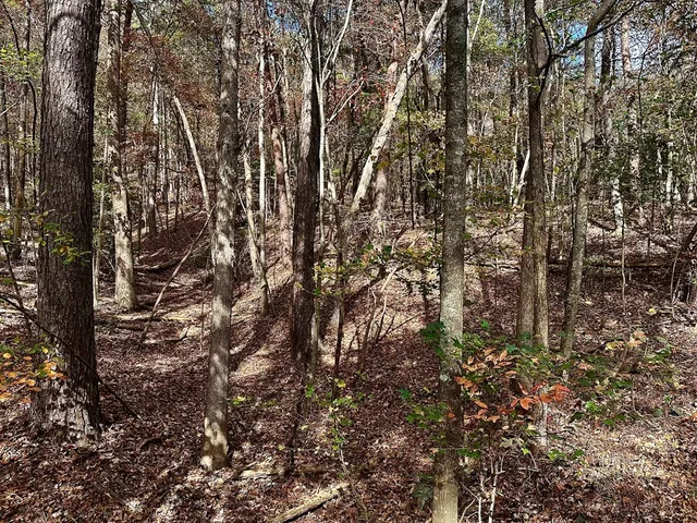 $9,949 | 291 Creekside Trail, Ellijay, GA 30540