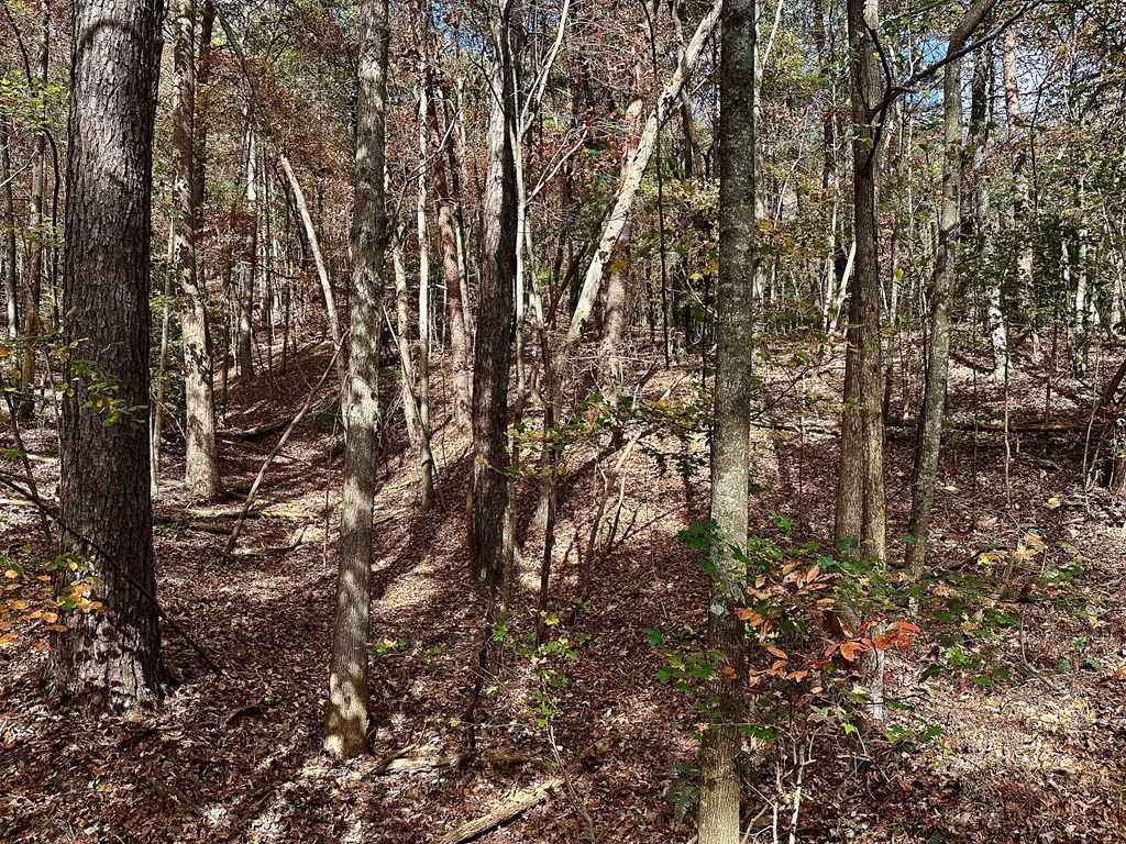 291 Creekside Trail Ellijay, GA 30540 - Photo 8 of 12