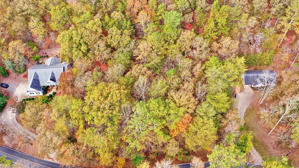 291 Creekside Trail Ellijay, GA 30540 - Photo 9 of 12