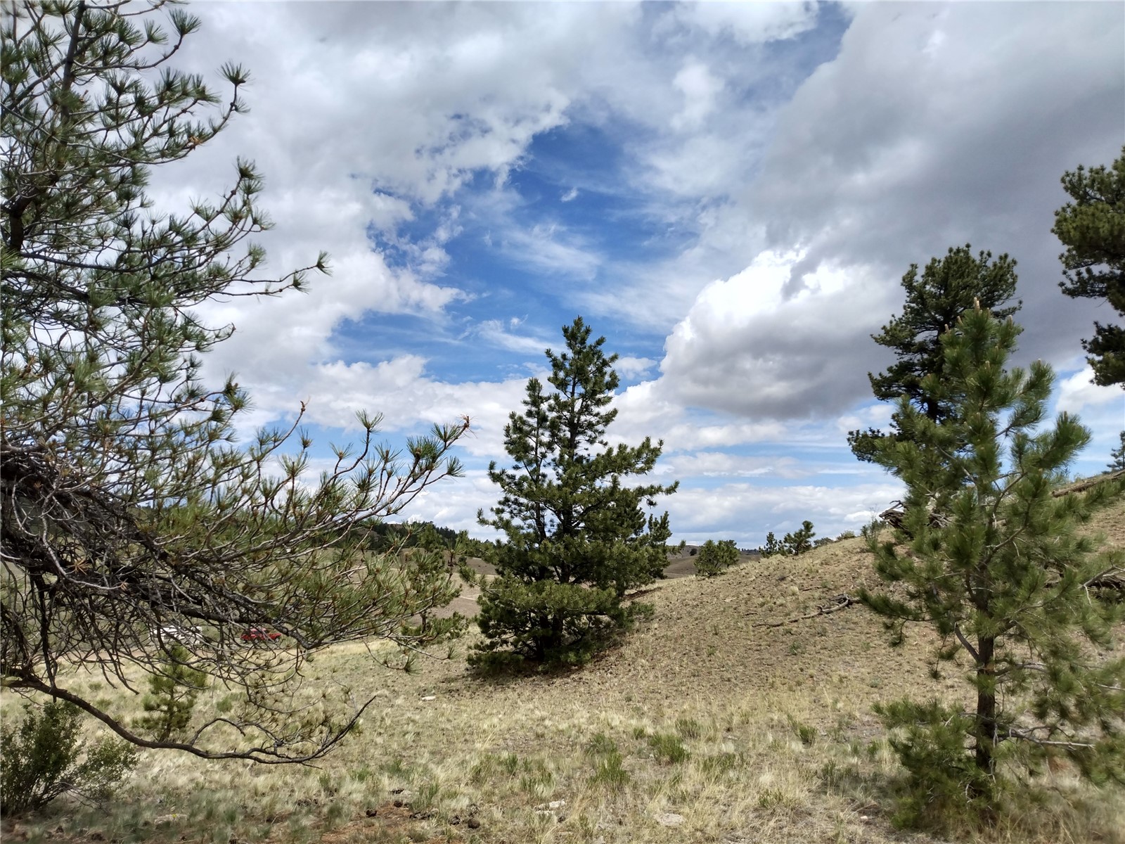 0 Kusha Road Hartsel, CO 80449 - Photo 8 of 9 Gallery Image 8