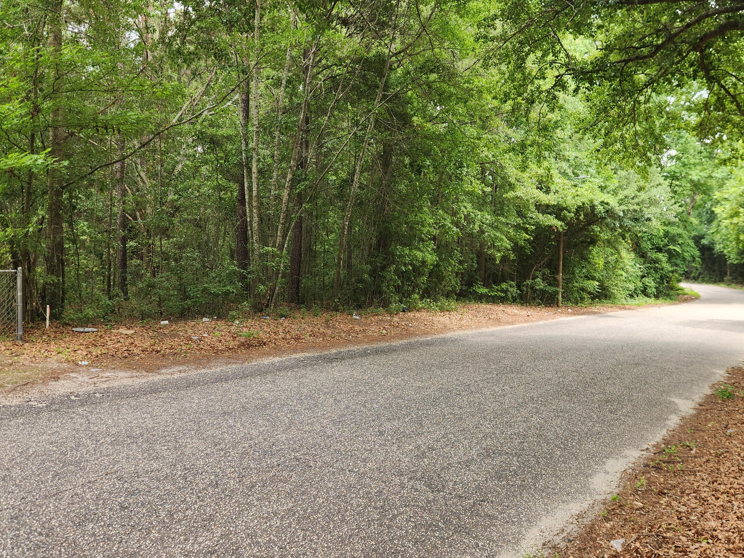 Tbd Community Street Sumter, SC 29150 - Photo 1 of 6