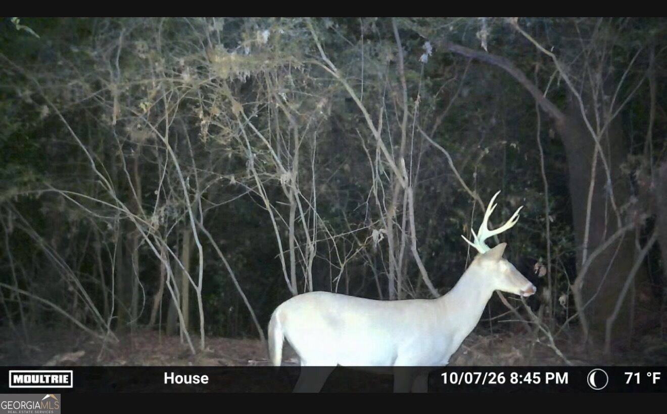 0 Sam Bradley Road Americus, GA 31709 - Photo 33 of 37 Gallery Image 33