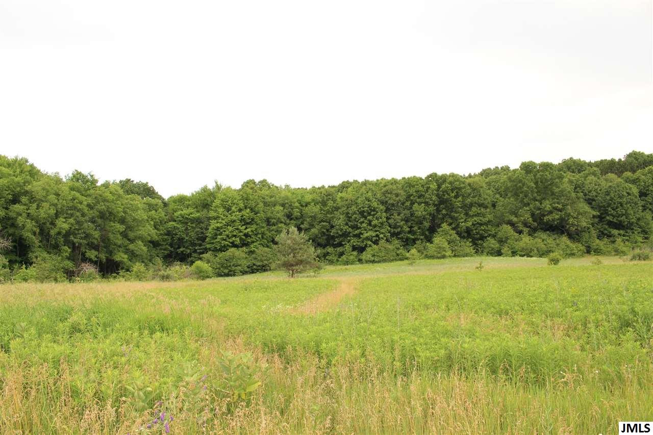 9100 Garfield Road Parma, MI 49269 - Photo 3 of 24 Photo 3