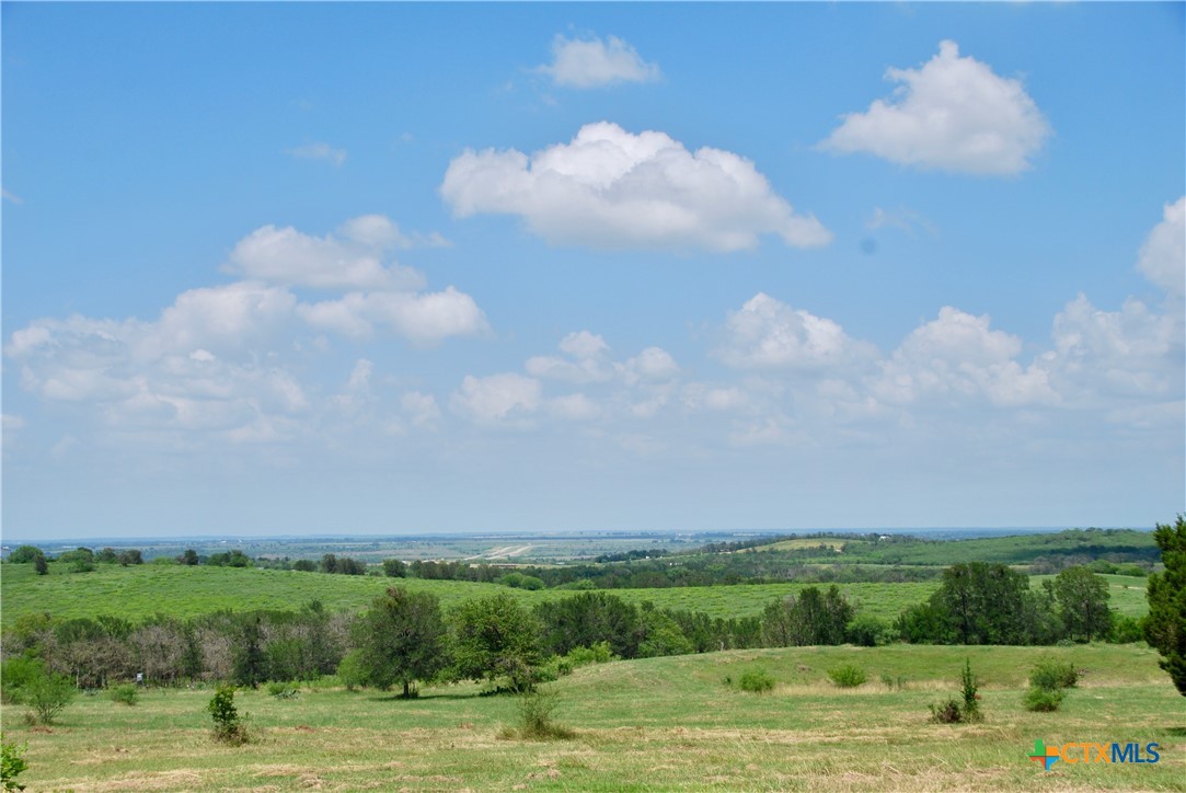 2725 Old Lehmann Road Seguin, TX 78155 - Photo 2 of 47