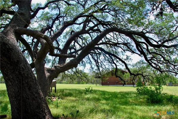 a view of a yard