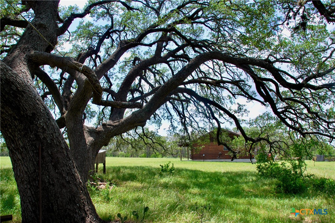 2725 Old Lehmann Road Seguin, TX 78155 - Photo 26 of 47 a backyard of a house with lots of green space