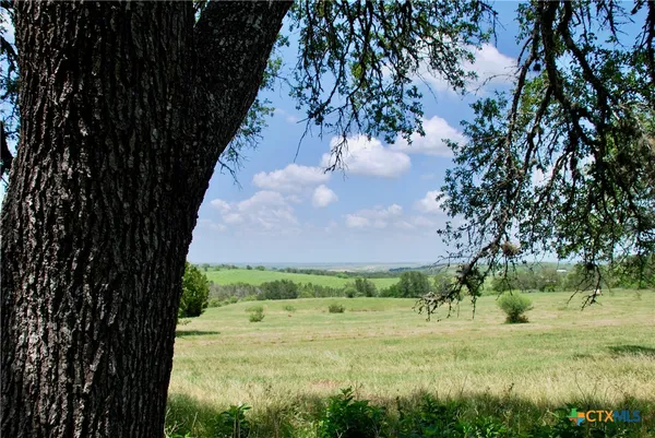 a view of a green field