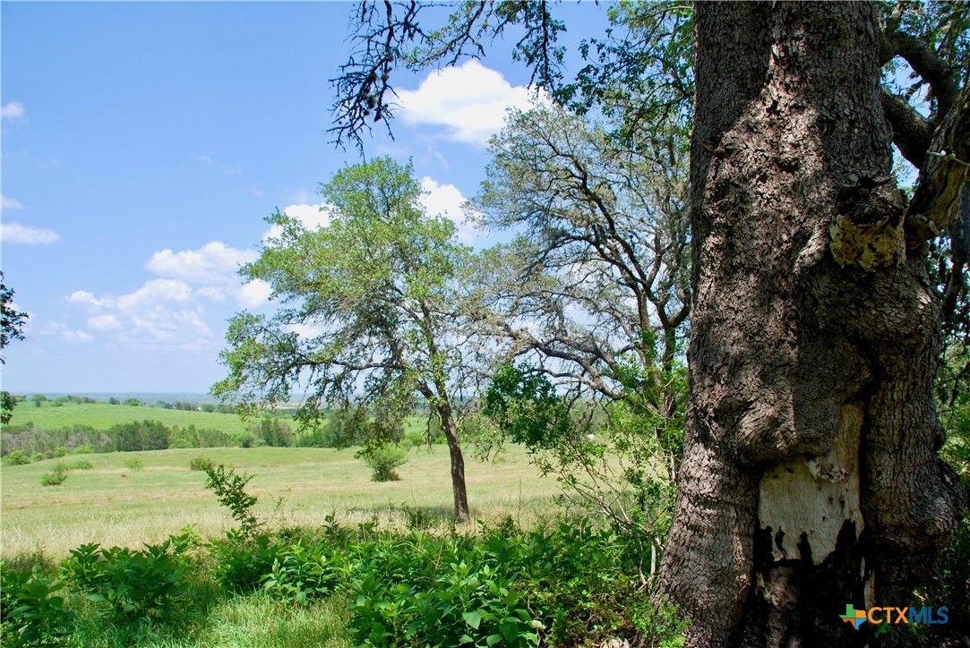 2725 Old Lehmann Road Seguin, TX 78155 - Photo 28 of 47 a view of an outdoor space with a lake view