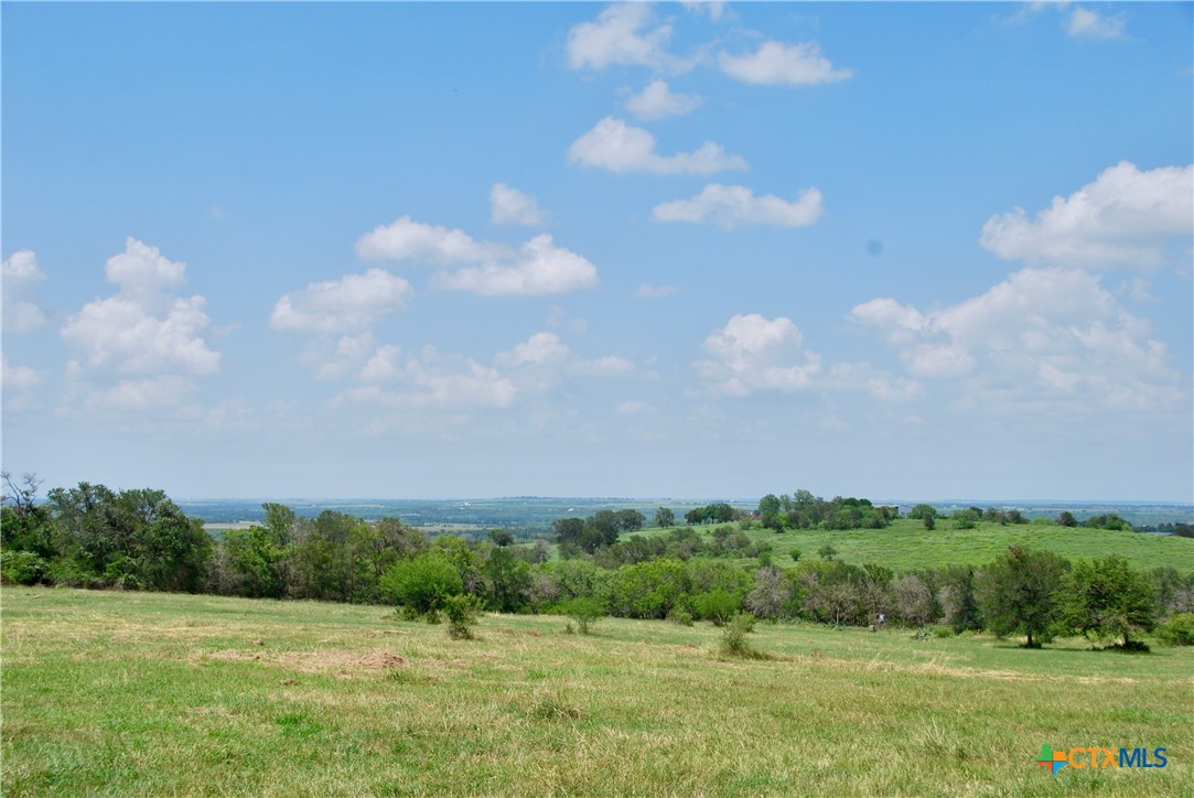 2725 Old Lehmann Road Seguin, TX 78155 - Photo 30 of 47 a view of a green field