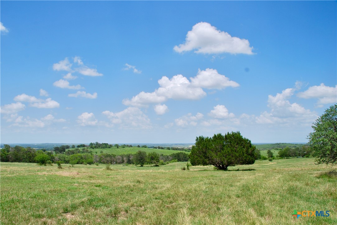 2725 Old Lehmann Road Seguin, TX 78155 - Photo 31 of 47 a view of a big yard