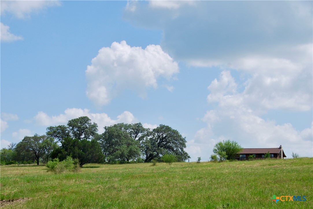 2725 Old Lehmann Road Seguin, TX 78155 - Photo 33 of 47 a view of a green field