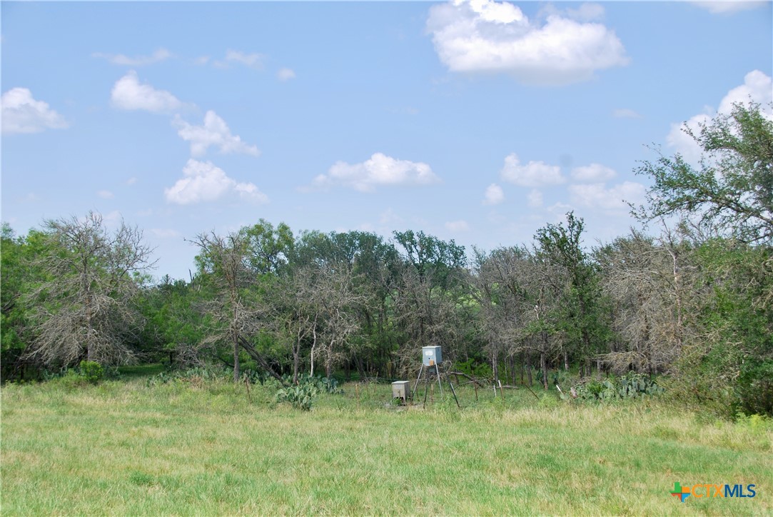 2725 Old Lehmann Road Seguin, TX 78155 - Photo 34 of 47 a backyard of a house with lots of green space