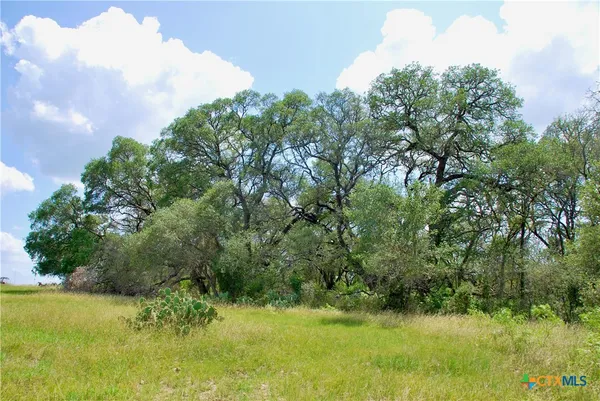 a backyard of a house with a yard and large trees