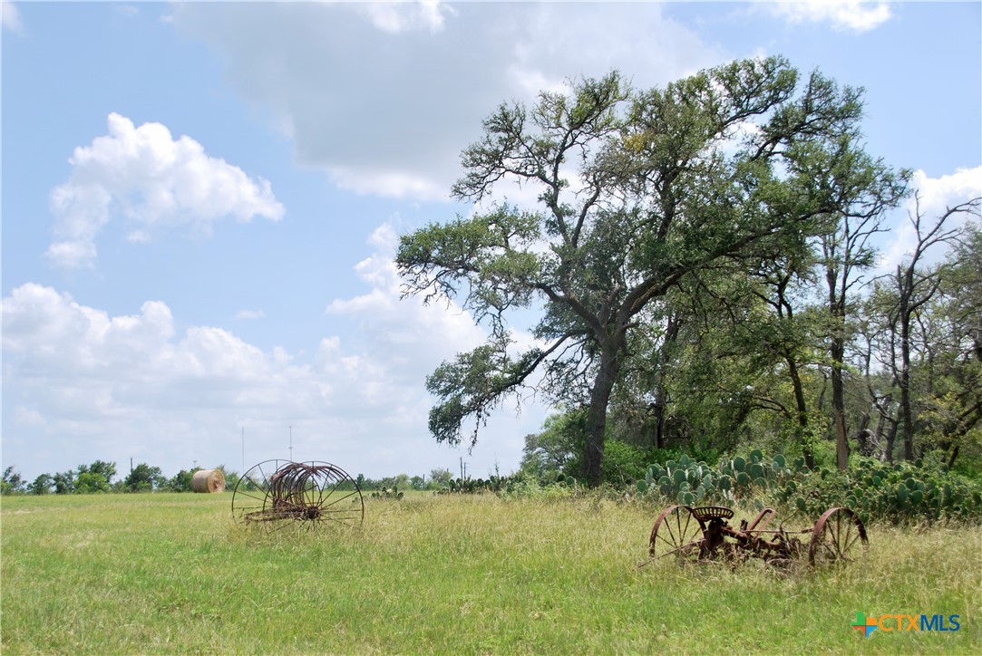 2725 Old Lehmann Road Seguin, TX 78155 - Photo 37 of 47 a view of lake with green space