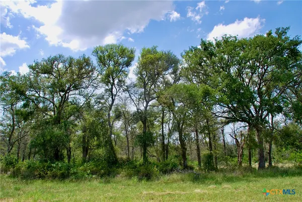 a view of a yard