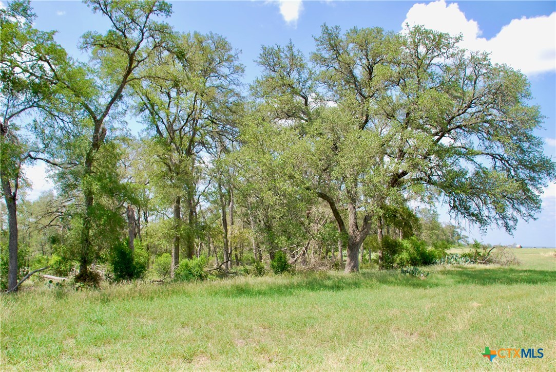 2725 Old Lehmann Road Seguin, TX 78155 - Photo 39 of 47 a backyard of a house with a yard and large trees