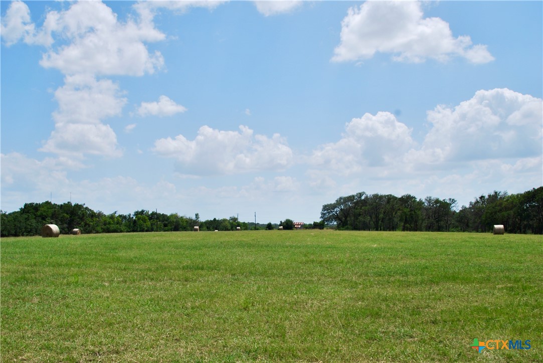 2725 Old Lehmann Road Seguin, TX 78155 - Photo 43 of 47 a view of a city