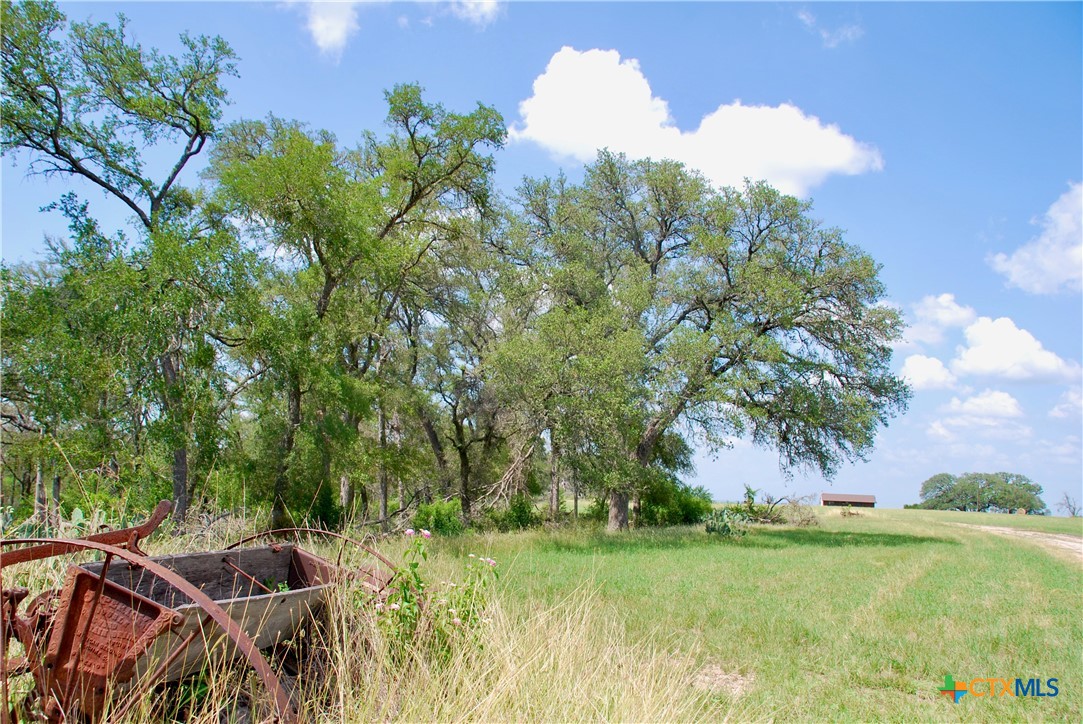 2725 Old Lehmann Road Seguin, TX 78155 - Photo 44 of 47 a view of a backyard