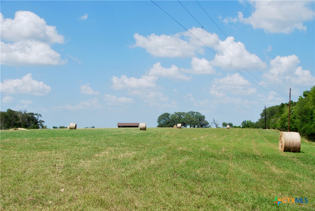 2725 Old Lehmann Road Seguin, TX 78155 - Photo 45 of 47 a view of a big yard with plants and a large tree
