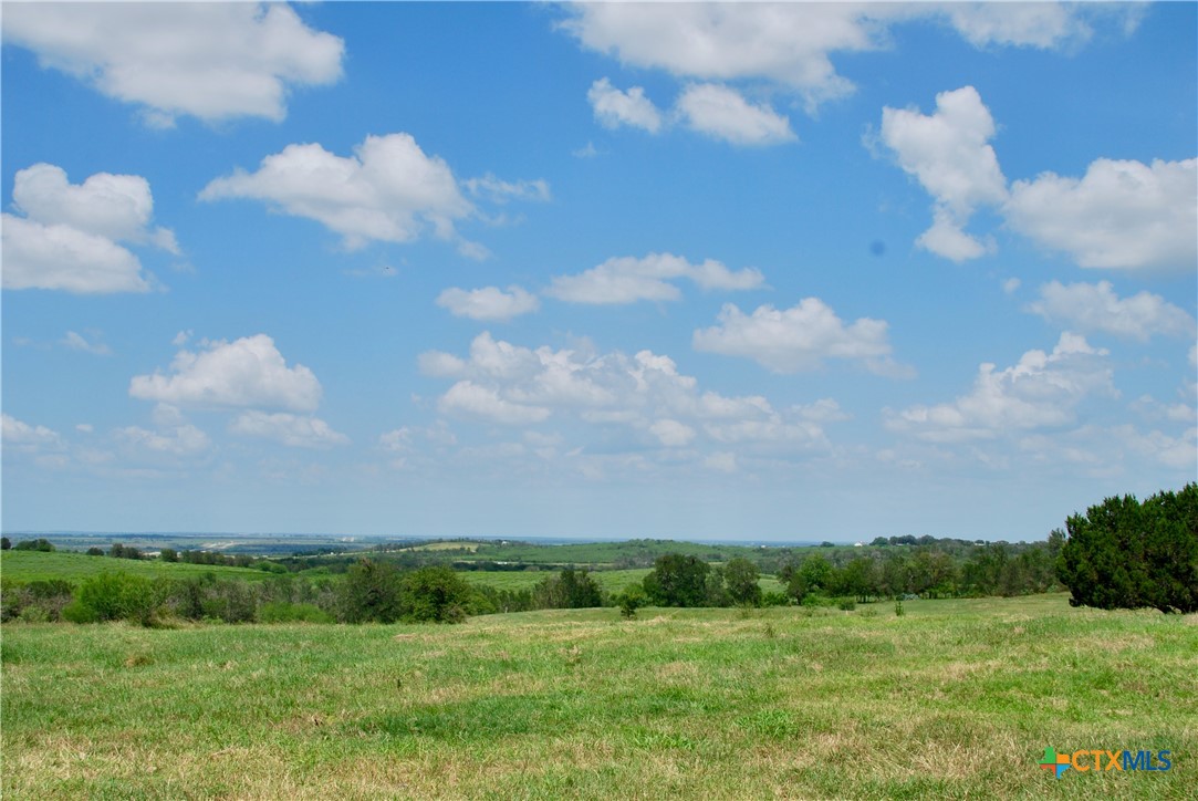 2725 Old Lehmann Road Seguin, TX 78155 - Photo 5 of 47