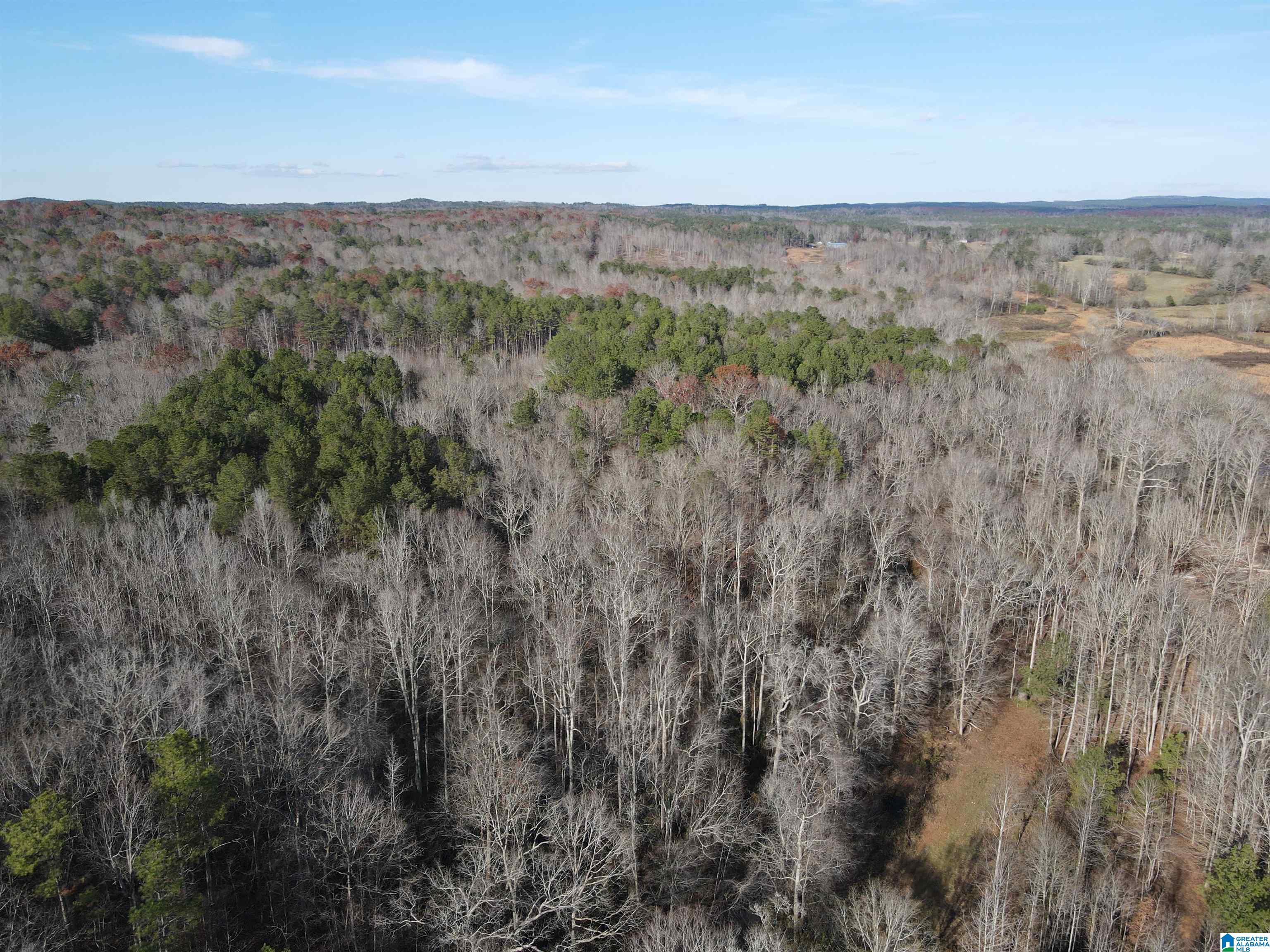 0 County Road 208 Heflin, AL 36264 - Photo 7 of 10