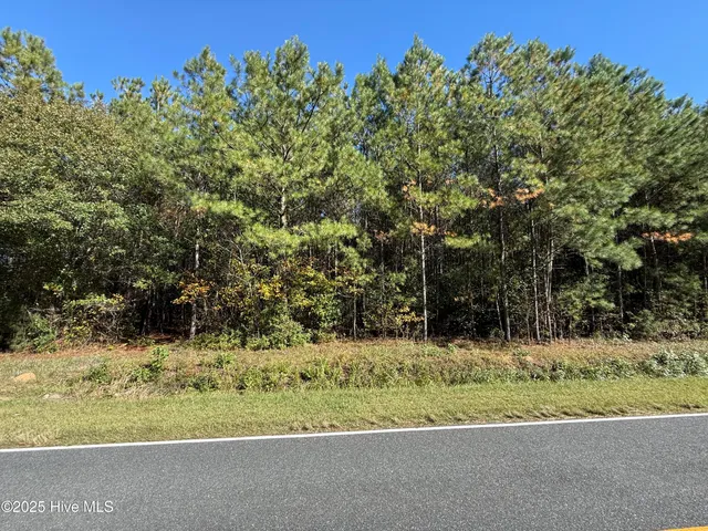 $27,000 | 1.87-acres Harrelson Road, Clarkton, NC 28433