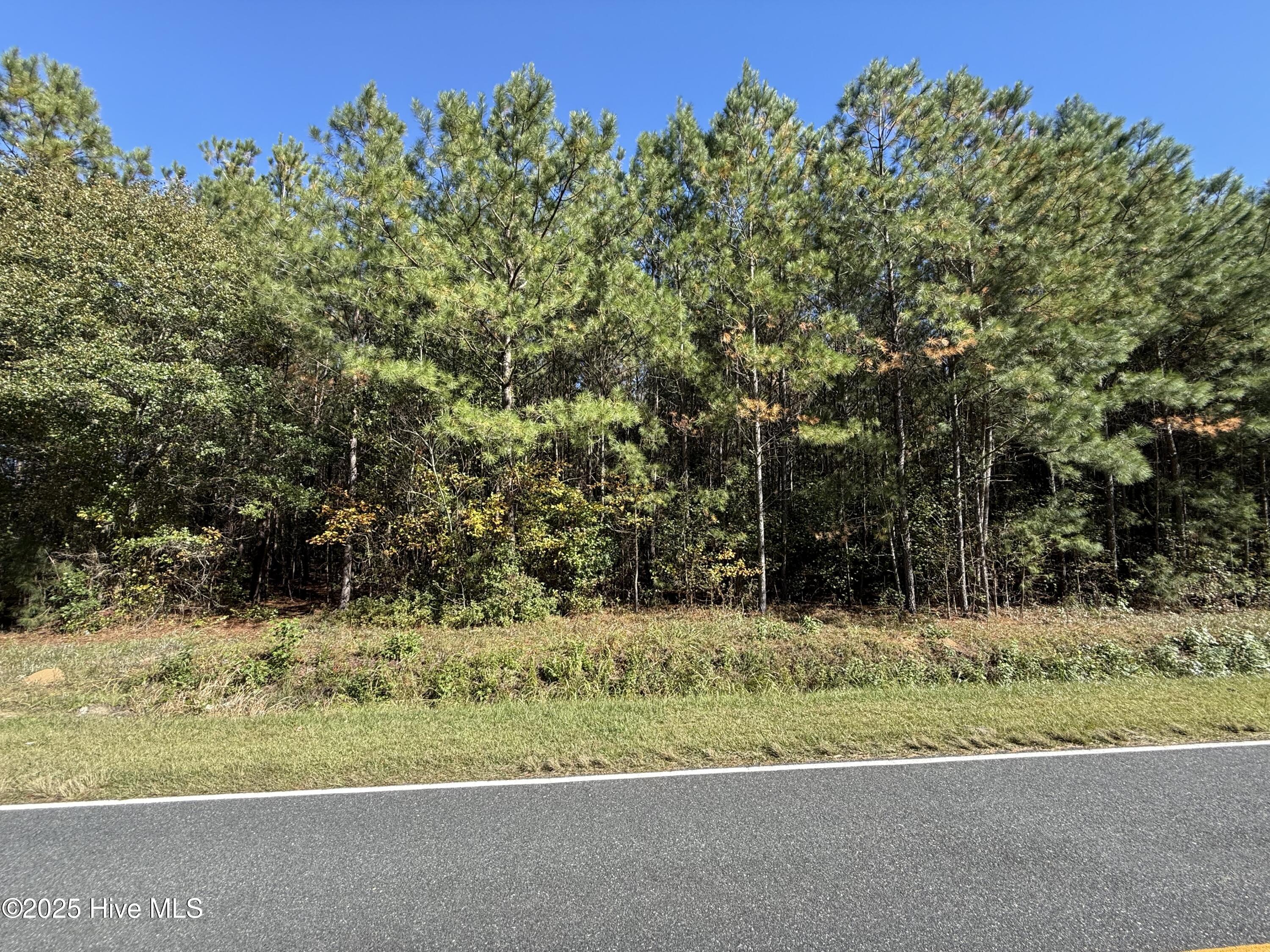 1.87-acres Harrelson Road Clarkton, NC 28433 - Photo 3 of 4 IMG_5098