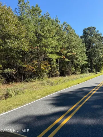 $27,000 | 1.87-acres Harrelson Road, Clarkton, NC 28433