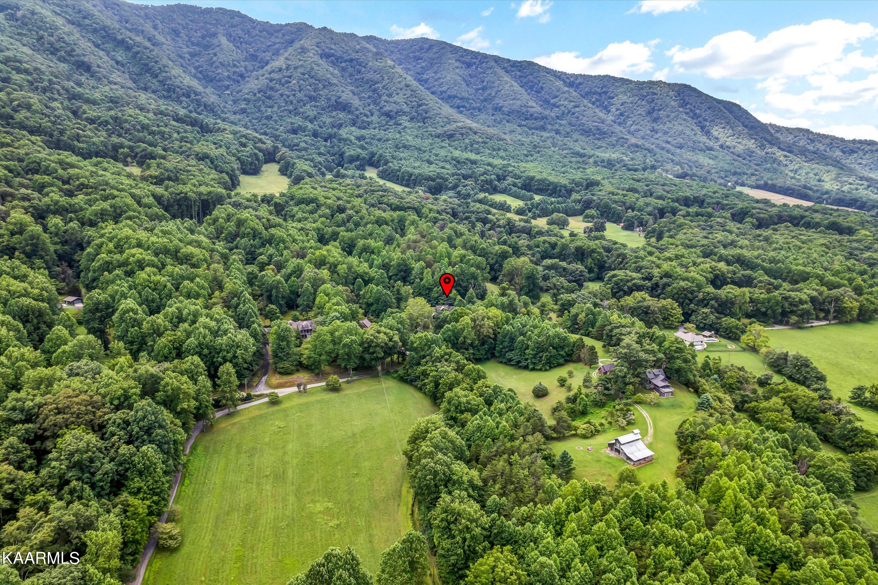 1242 Schoolhouse Gap Road Townsend, TN 37882 - Photo 3 of 44 69-1242 Schoolhouse Gap Rd-69