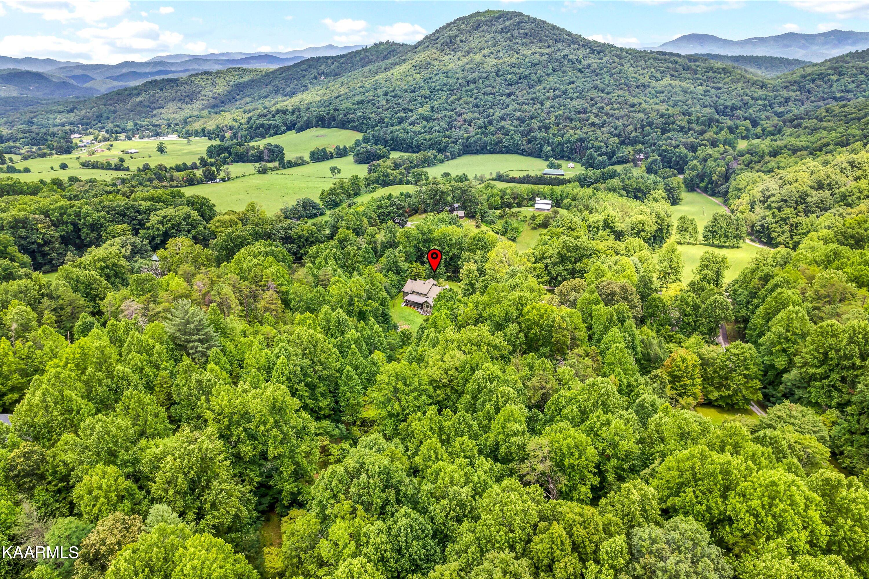 1242 Schoolhouse Gap Road Townsend, TN 37882 - Photo 40 of 44 75-1242 Schoolhouse Gap Rd-75