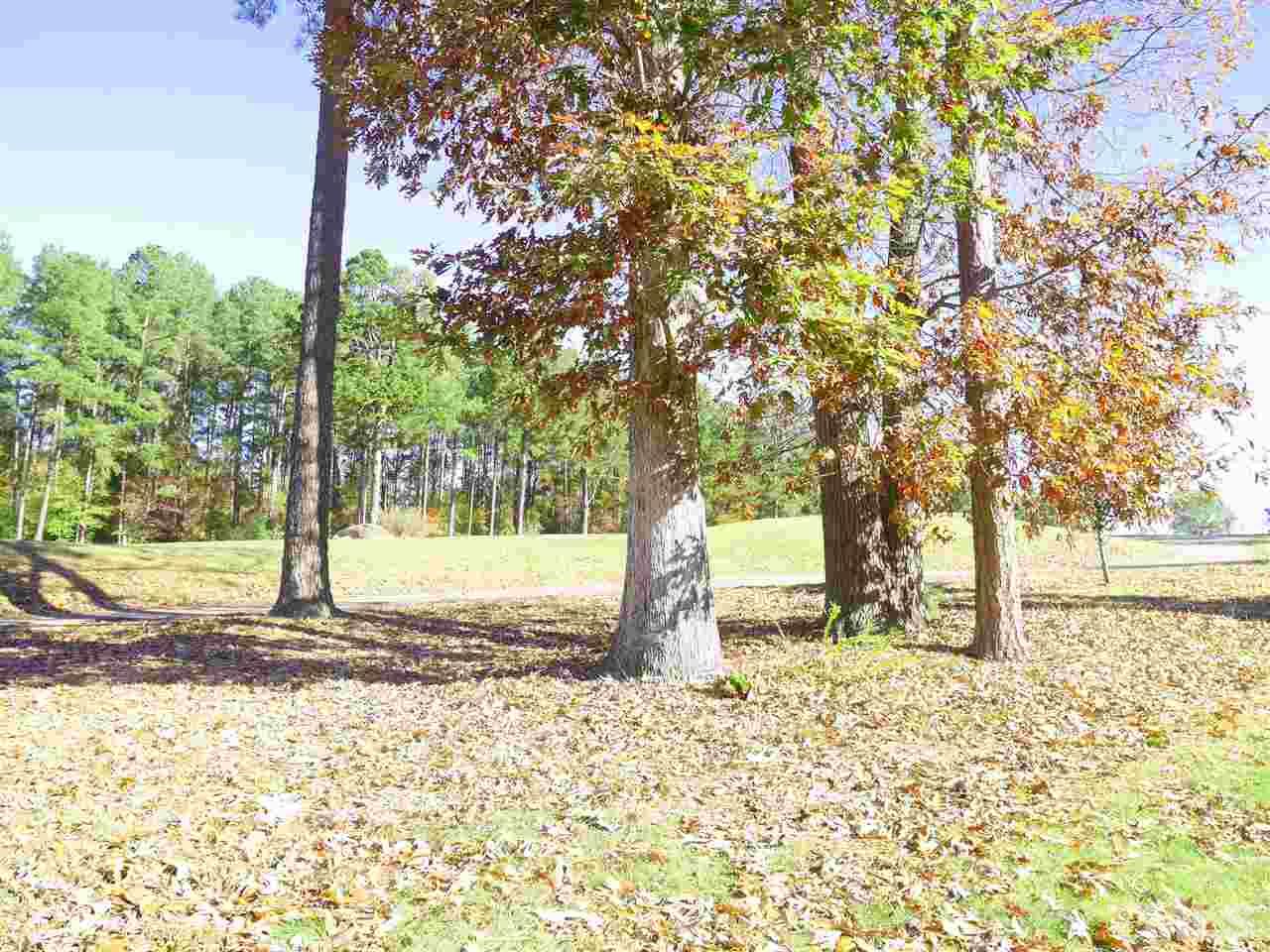2300 Persimmon Ridge Drive Raleigh, NC 27604 - Photo 17 of 20 a park view